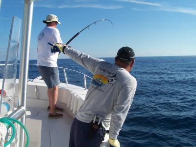 James on Sailfish